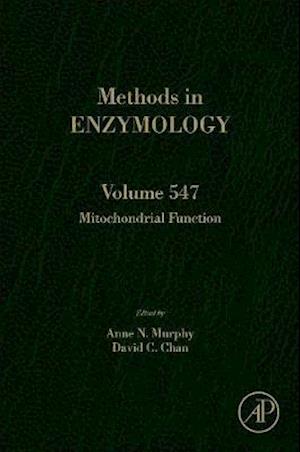 Mitochondrial Function