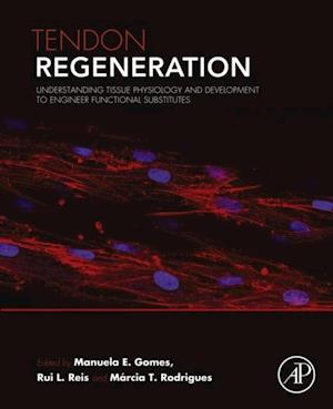 Tendon Regeneration