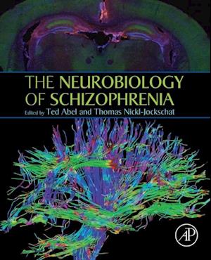 Neurobiology of Schizophrenia