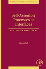 Self-Assembly Processes at Interfaces