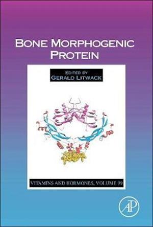 Bone Morphogenic Protein