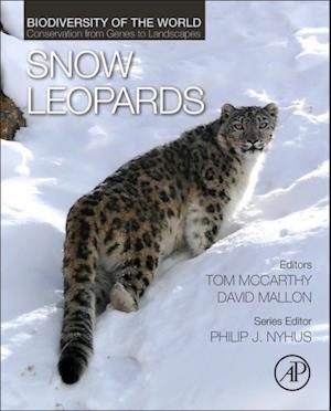 Snow Leopards