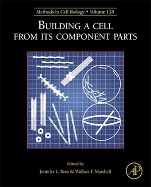 Building a Cell from its Component Parts