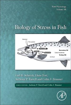 Biology of Stress in Fish