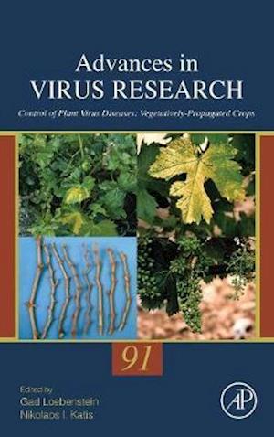 Control of Plant Virus Diseases