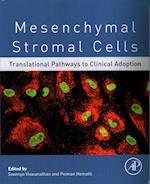 Mesenchymal Stromal Cells
