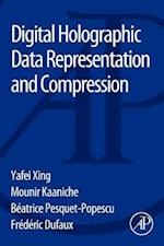 Digital Holographic Data Representation and Compression