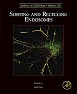 Sorting and Recycling Endosomes