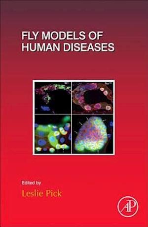 Fly Models of Human Diseases