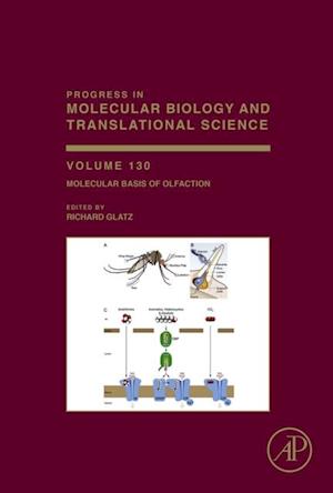 Molecular Basis of Olfaction