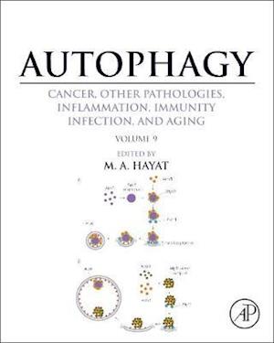 Autophagy: Cancer, Other Pathologies, Inflammation, Immunity, Infection, and Aging