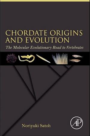 Chordate Origins and Evolution