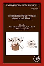 Semiconductor Nanowires I: Growth and Theory