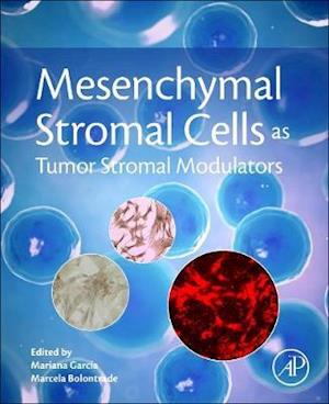 Mesenchymal Stromal Cells as Tumor Stromal Modulators