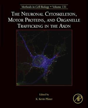 Neuronal Cytoskeleton, Motor Proteins, and Organelle Trafficking in the Axon