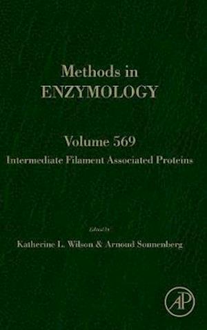 Intermediate Filament Associated Proteins