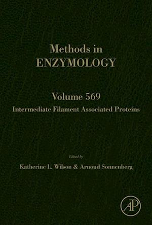 Intermediate Filament Associated Proteins