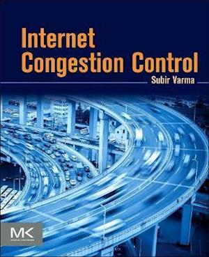 Internet Congestion Control