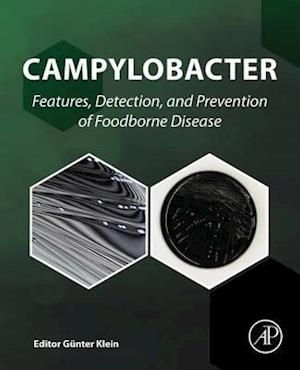 Campylobacter