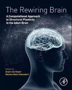 The Rewiring Brain