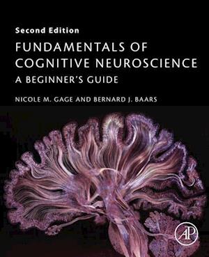 Fundamentals of Cognitive Neuroscience