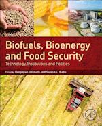 Biofuels, Bioenergy and Food Security