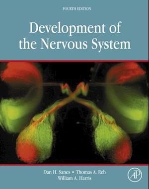 Development of the Nervous System