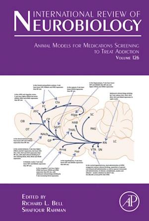 Animal Models for Medications Screening to Treat Addiction