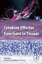 Cytokine Effector Functions in Tissues