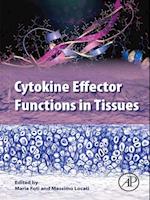 Cytokine Effector Functions in Tissues