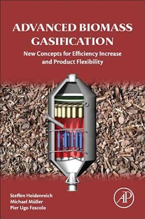 Advanced Biomass Gasification