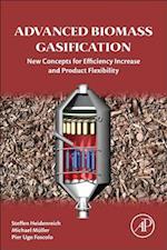 Advanced Biomass Gasification