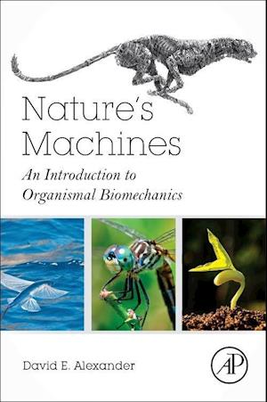 Nature's Machines