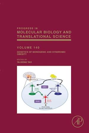 Genetics of Monogenic and Syndromic Obesity