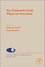 Na Channels from Phyla to Function