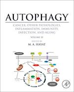 Autophagy: Cancer, Other Pathologies, Inflammation, Immunity, Infection, and Aging