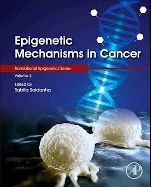 Epigenetic Mechanisms in Cancer