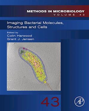 Imaging Bacterial Molecules, Structures and Cells