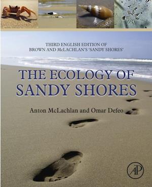 Ecology of Sandy Shores