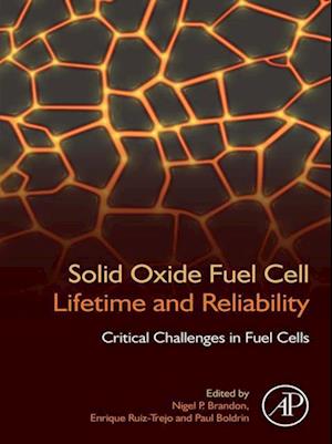 Solid Oxide Fuel Cell Lifetime and Reliability