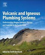 Volcanic and Igneous Plumbing Systems