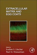 Extracellular Matrix and Egg Coats