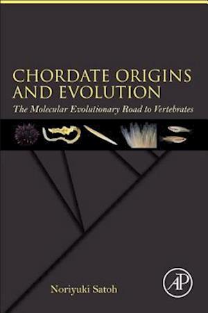 Chordate Origins and Evolution