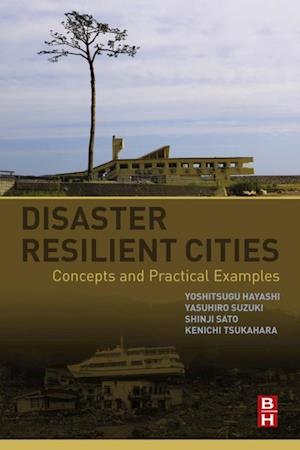 Disaster Resilient Cities