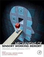 Mechanisms of Sensory Working Memory