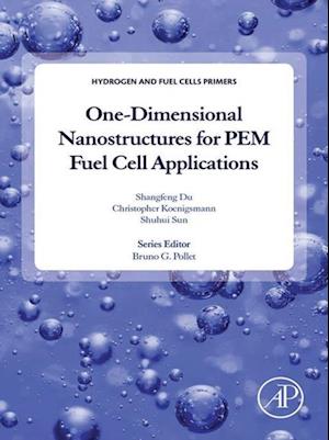 One-dimensional Nanostructures for PEM Fuel Cell Applications