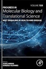 WNT Signaling