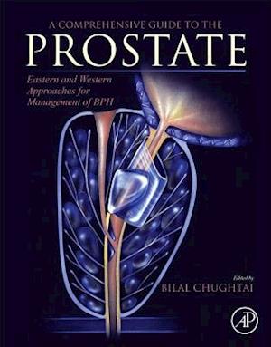 A Comprehensive Guide to the Prostate