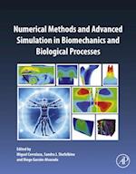 Numerical Methods and Advanced Simulation in Biomechanics and Biological Processes