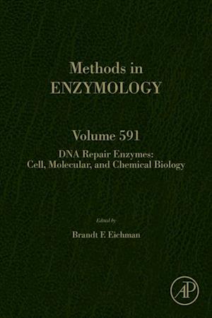 DNA Repair Enzymes: Cell, Molecular, and Chemical Biology